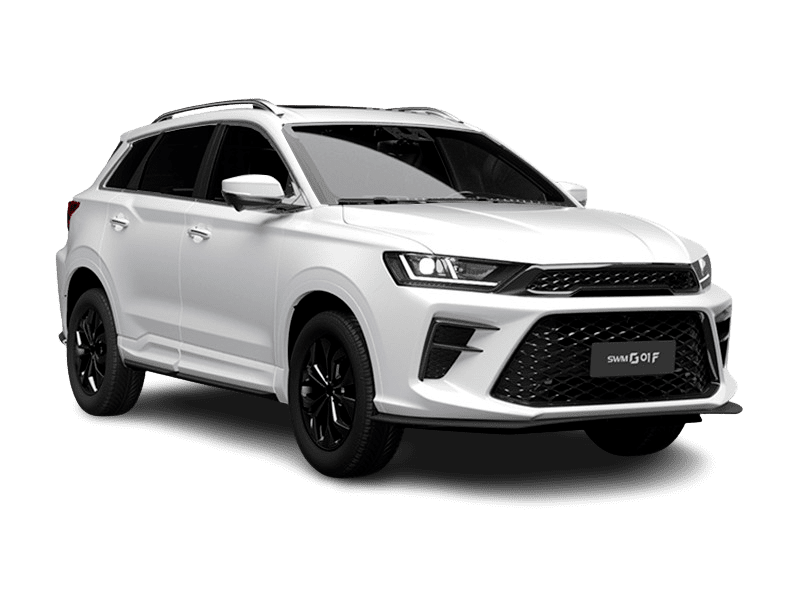 SWM G01F купить по цене от 1 805 000 рублей